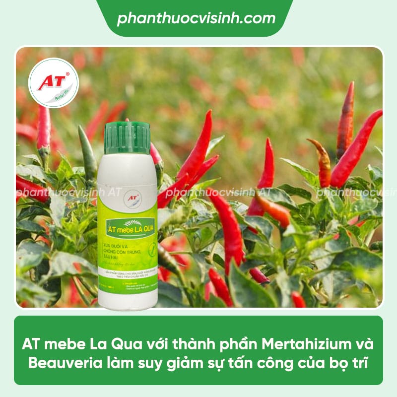 Top 3 thuốc đặc trị bọ trĩ trên cây ớt an toàn, hiệu quả