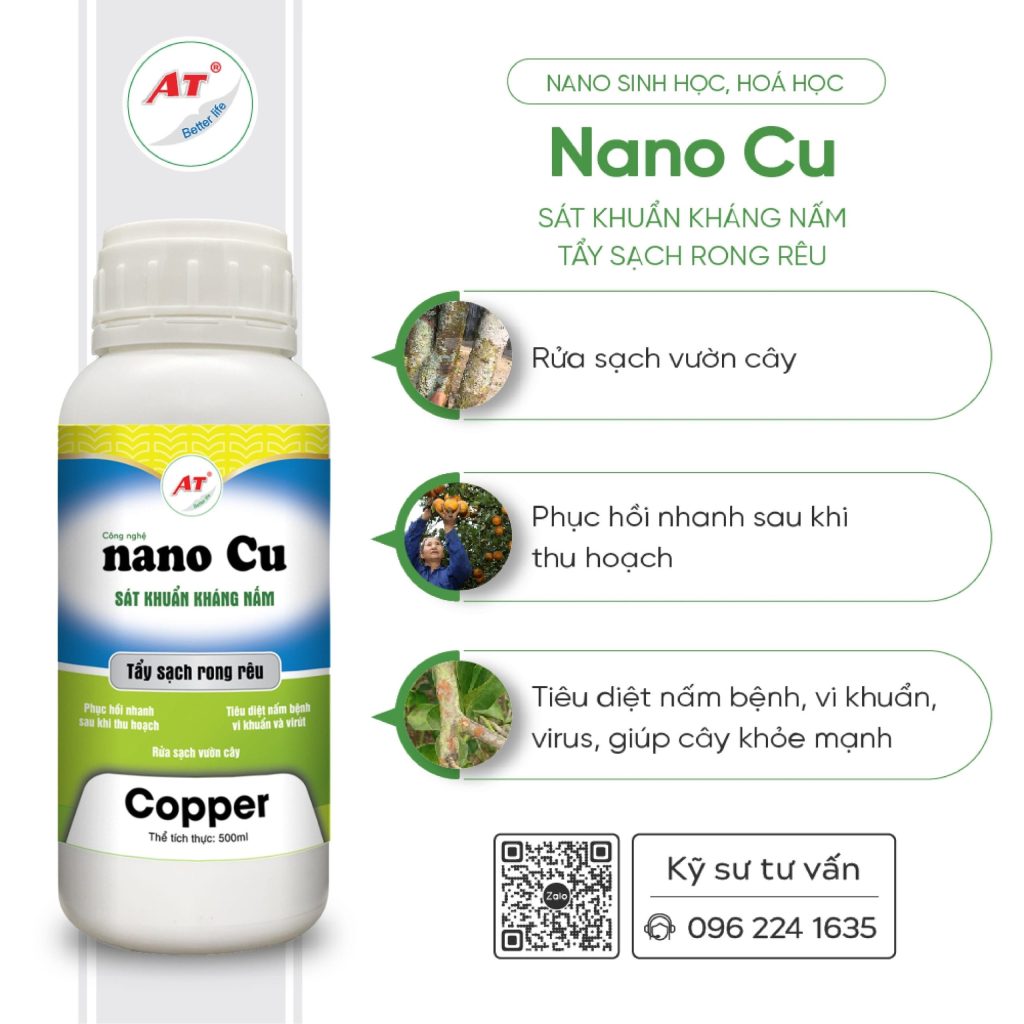 Bệnh trên cây quế: Bệnh hại thường gặp & Cách xử lý