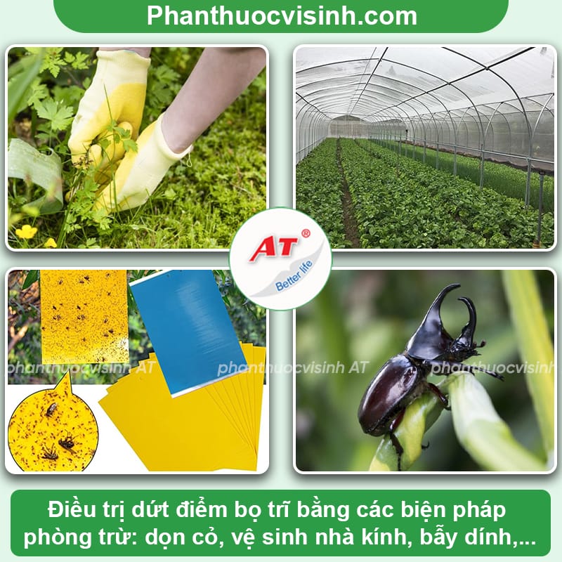 Thuốc trừ sâu sinh học phổ rộng thế hệ mới AT Mebe LA QUA - Nấm 3 màu kí sinh tiêu diệt sâu, côn trùng gây hại 4 Thuốc trị bọ trĩ và sâu bọ AT Mebe LA QUA giá tốt, uy tín