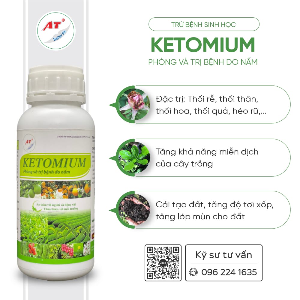 Bệnh trên cây quế: Bệnh hại thường gặp & Cách xử lý