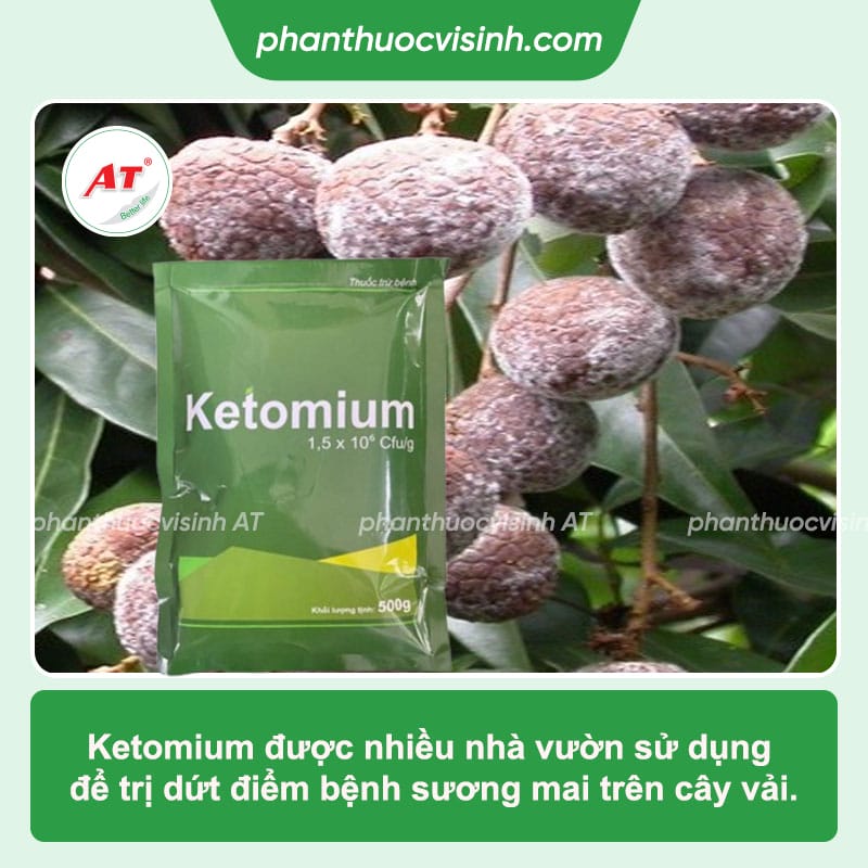 Tổng hợp bệnh trên cây vải và cách phòng trị hiệu quả