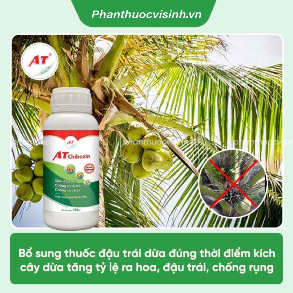 Thuốc đậu trái dừa AT Chibozin chống rụng trái, nứt trái 1 Untitled 1 06