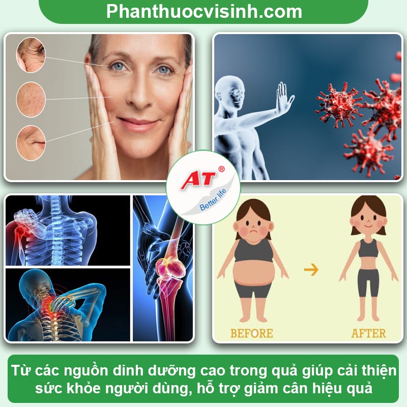 Cách trồng cây mâm xôi trong chậu nhanh lớn, trái trĩu cành 2 Cách trồng cây mâm xôi trong chậu đơn giản, cho trái mọng nước