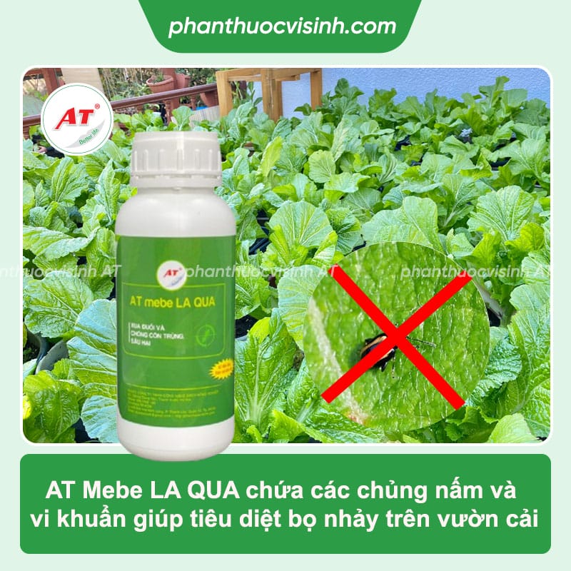 Thuốc diệt bọ nhảy ở rau cải tận gốc, hiệu quả nhanh chóng