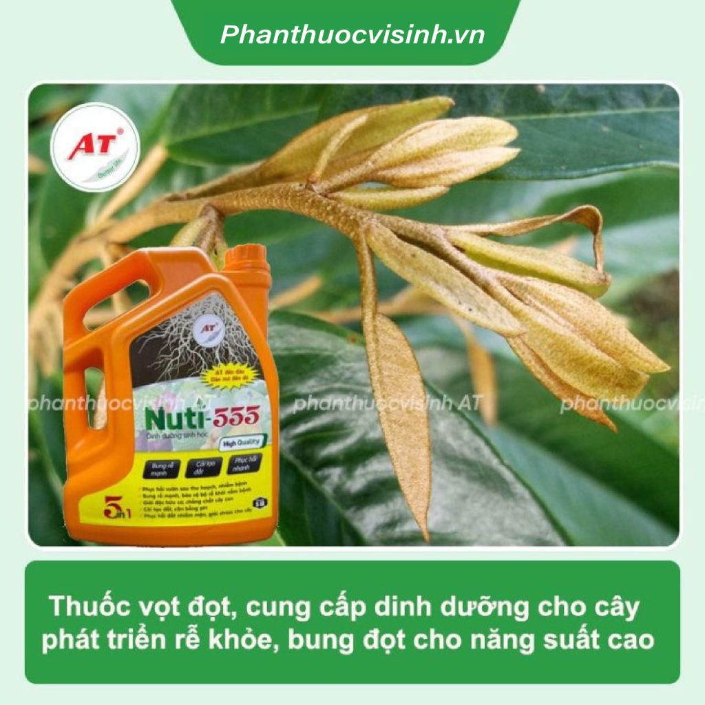 Thuốc siêu vọt đọt bung rễ Nuti 555 nâng pH, chống nghẹt rễ 3 Untitled 1 04 1