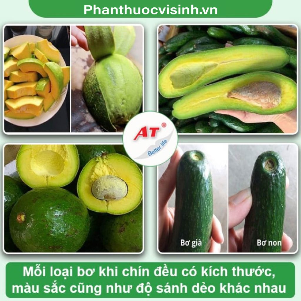 Cách nhận biết bơ chín tự nhiên, cơm dẻo thơm, không đắng 2 Untitled 1 08 3