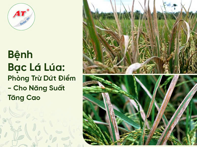 4fe7f969d9756f2b3664