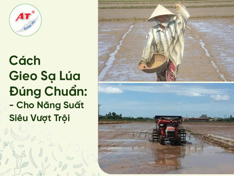 52ba537ecf7c7922206d