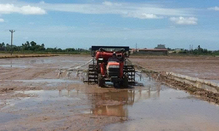 Cách Gieo Sạ Lúa Đúng Chuẩn- Cho Năng Suất Gấp 3 Lần 5 70bf29aae0a856f60fb9