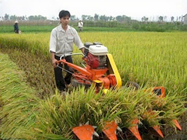 eeb01cd629f99fa7c6e8