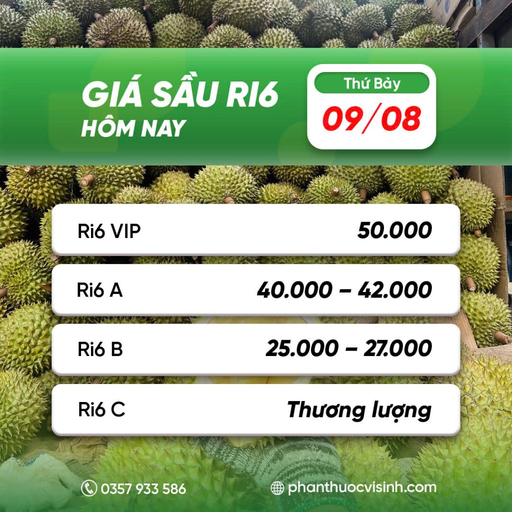 Giá sầu riêng Ri6