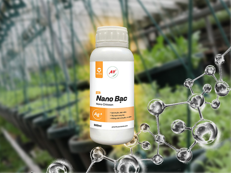 Thuốc Sinh Học Tẩy Rong Rêu Nano Bạc