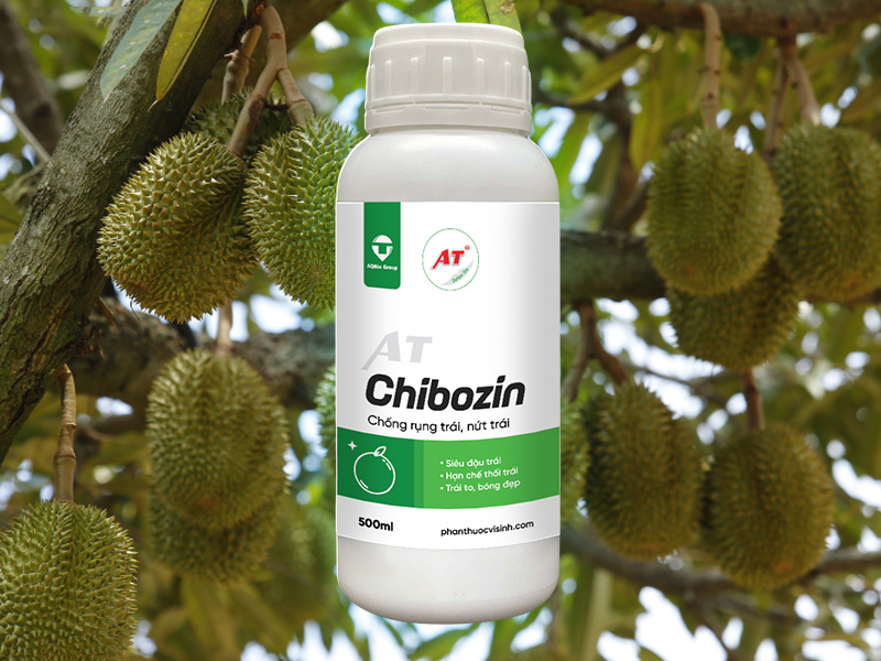 Thuốc Sinh Học Giúp Đậu Trái AT Chibozin - Giải Pháp Chống Rụng Trái, Nứt Trái 2 Thuốc Sinh Học Giúp Đậu Trái AT Chibozin