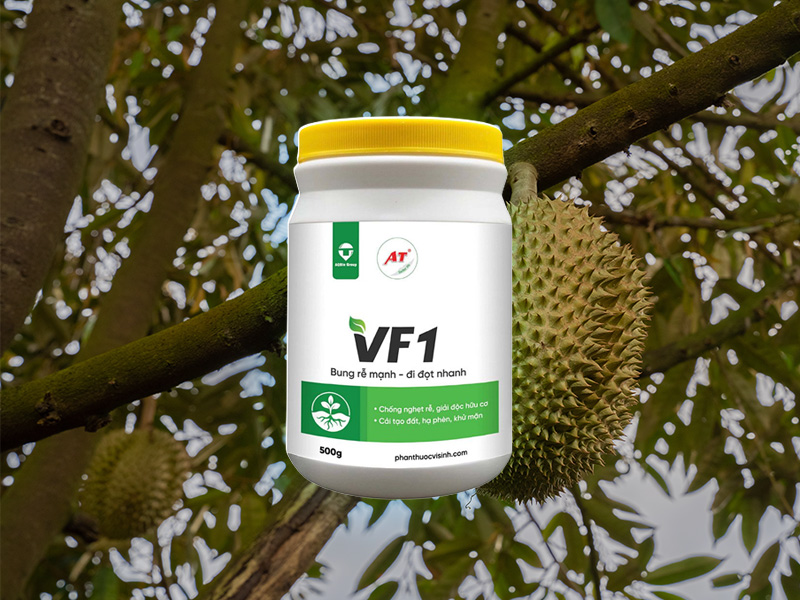 Thuốc Sinh Học Giúp Cây Bung Rễ VF1