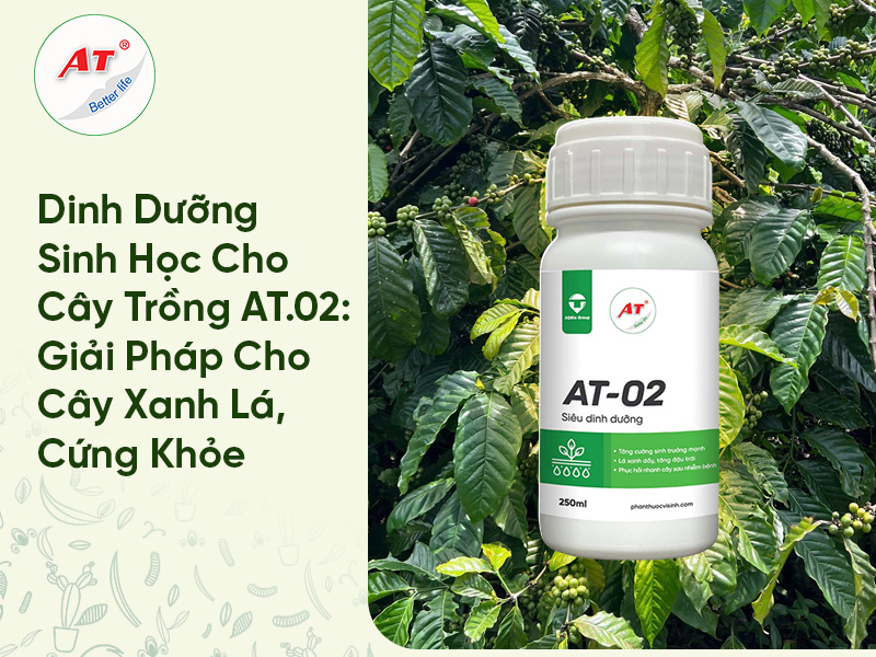 22 8WebAT03