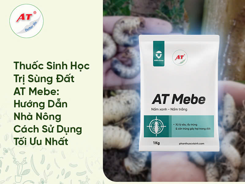 22e8a9f37988f1d6a899