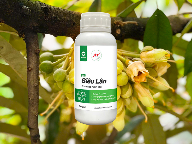 Thuốc Sinh Học Kích Cây Ra Hoa AT Siêu Lân - Phân Hóa Mầm Hóa Nhanh Chóng 2 Thuốc Sinh Học Kích Cây Ra Hoa - AT Siêu Lân