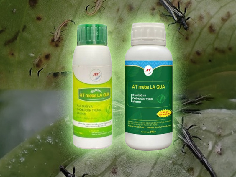 Thuốc sinh học diệt bọ trĩ AT Mebe LA QUA