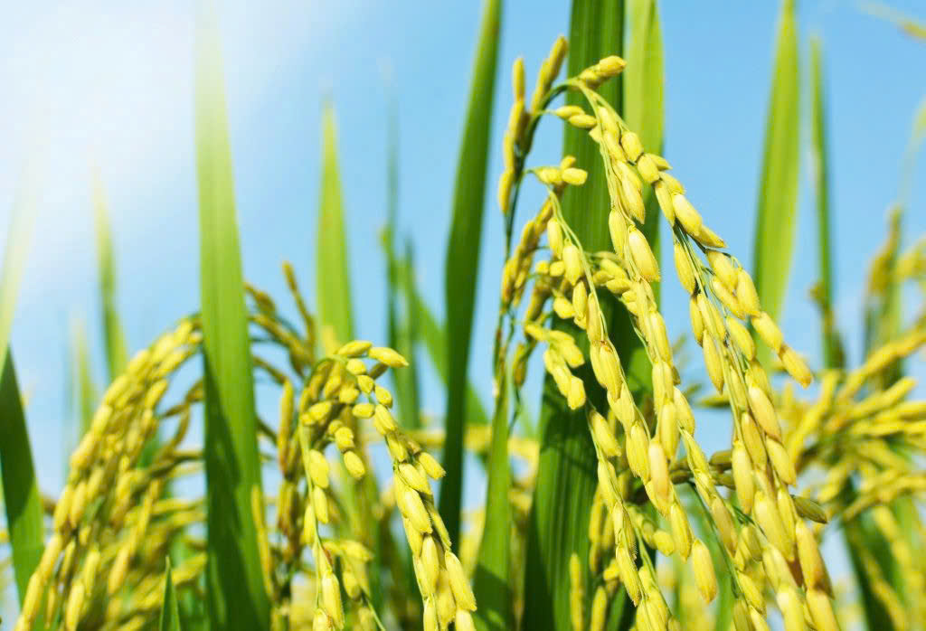 9b49f62c857f0e21576e