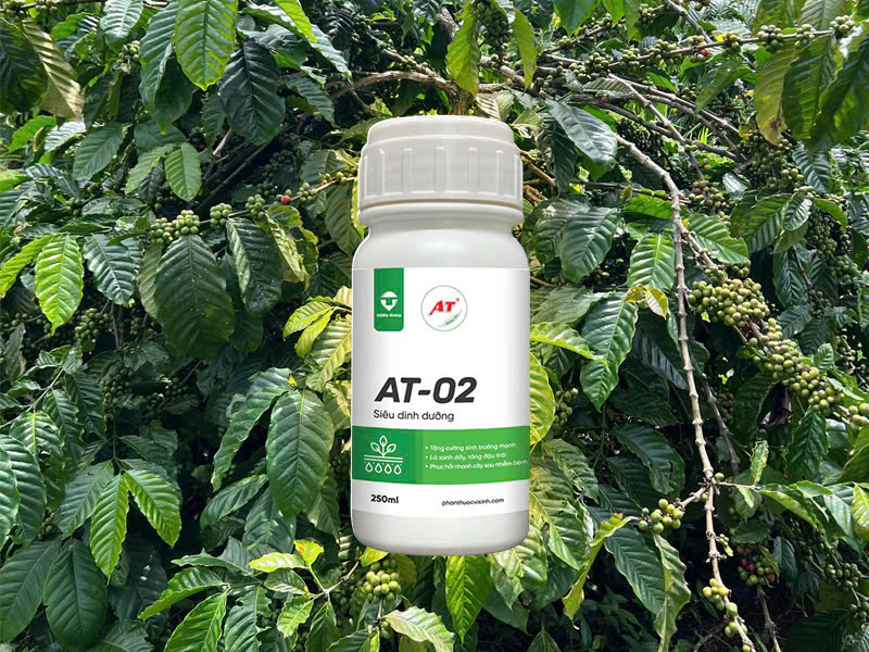 AT.02 – Giải pháp dinh dưỡng sinh học cho cây trồng