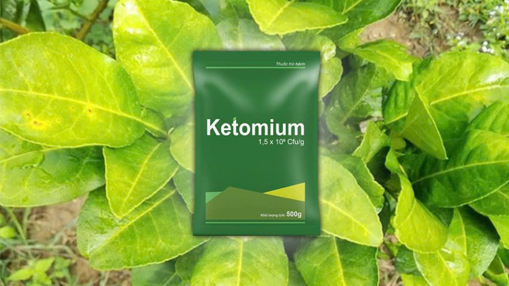 Thuốc trị vàng lá thối rễ 