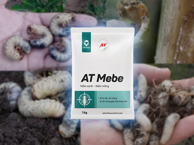 Thuốc sinh học trị sùng đất AT Mebe
