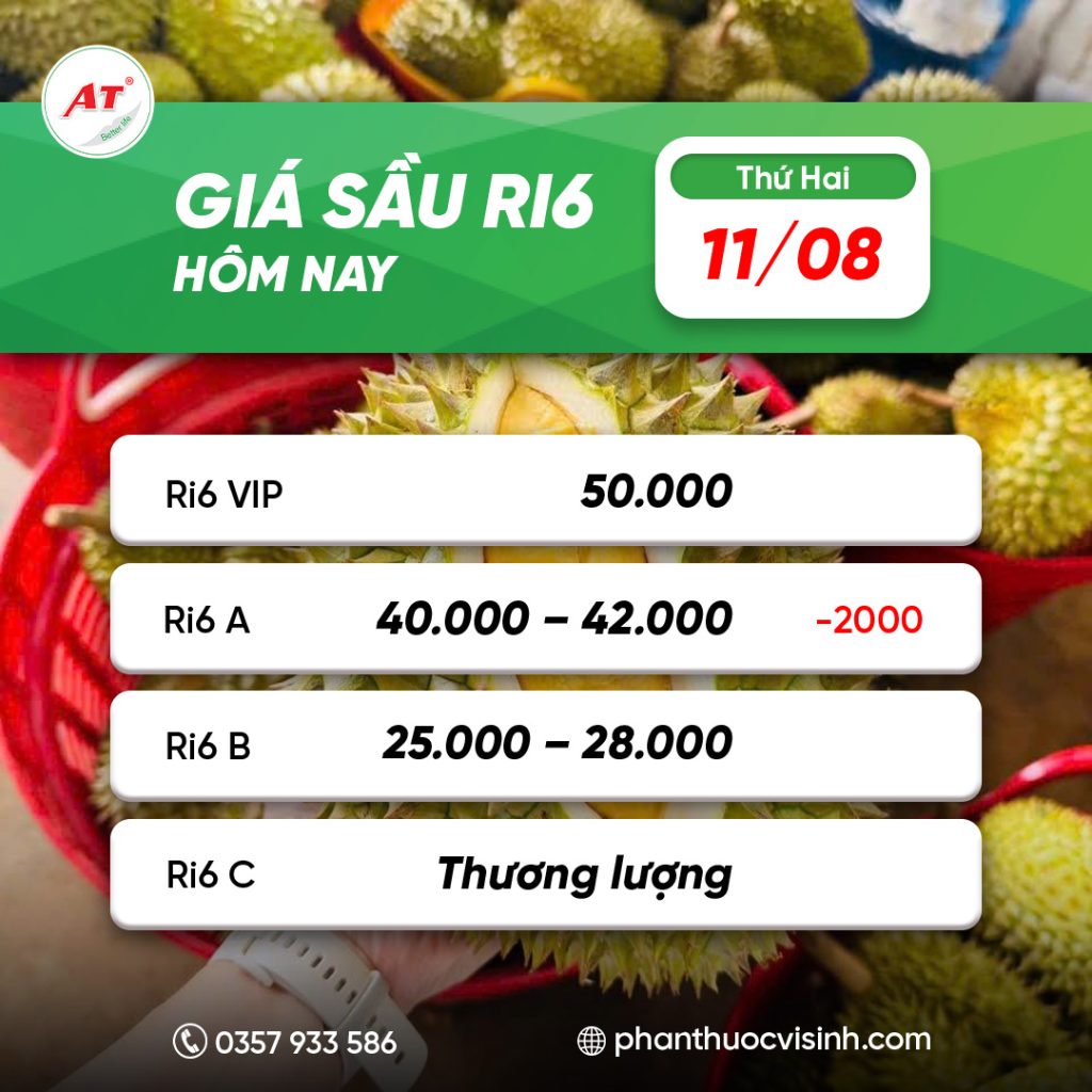 Giá sầu riêng 11/08/2025