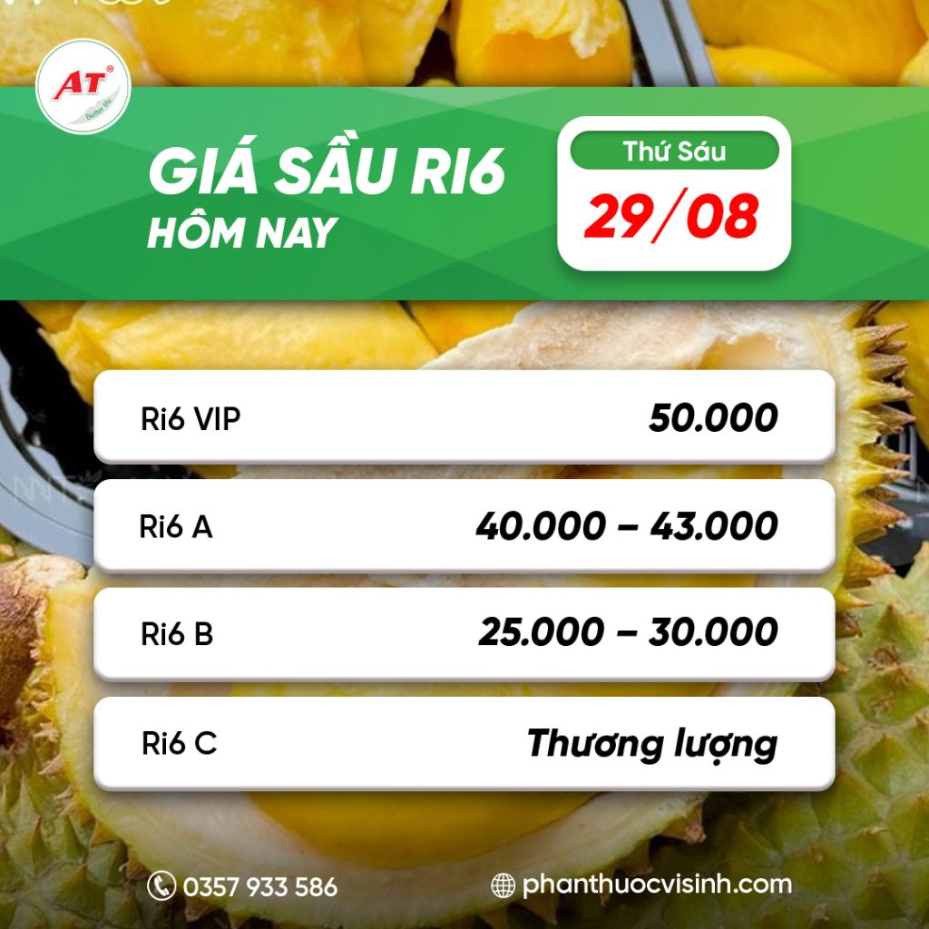 sau ri6 phan thuoc 13