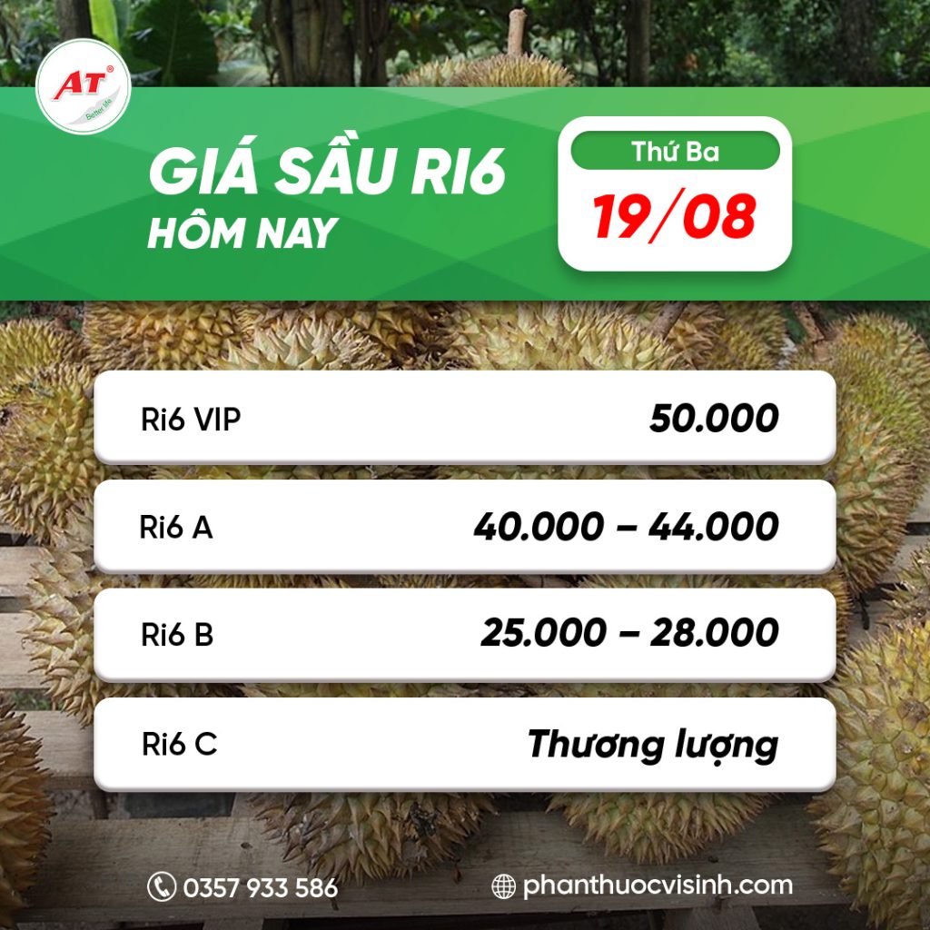 sau ri6 phan thuoc 6