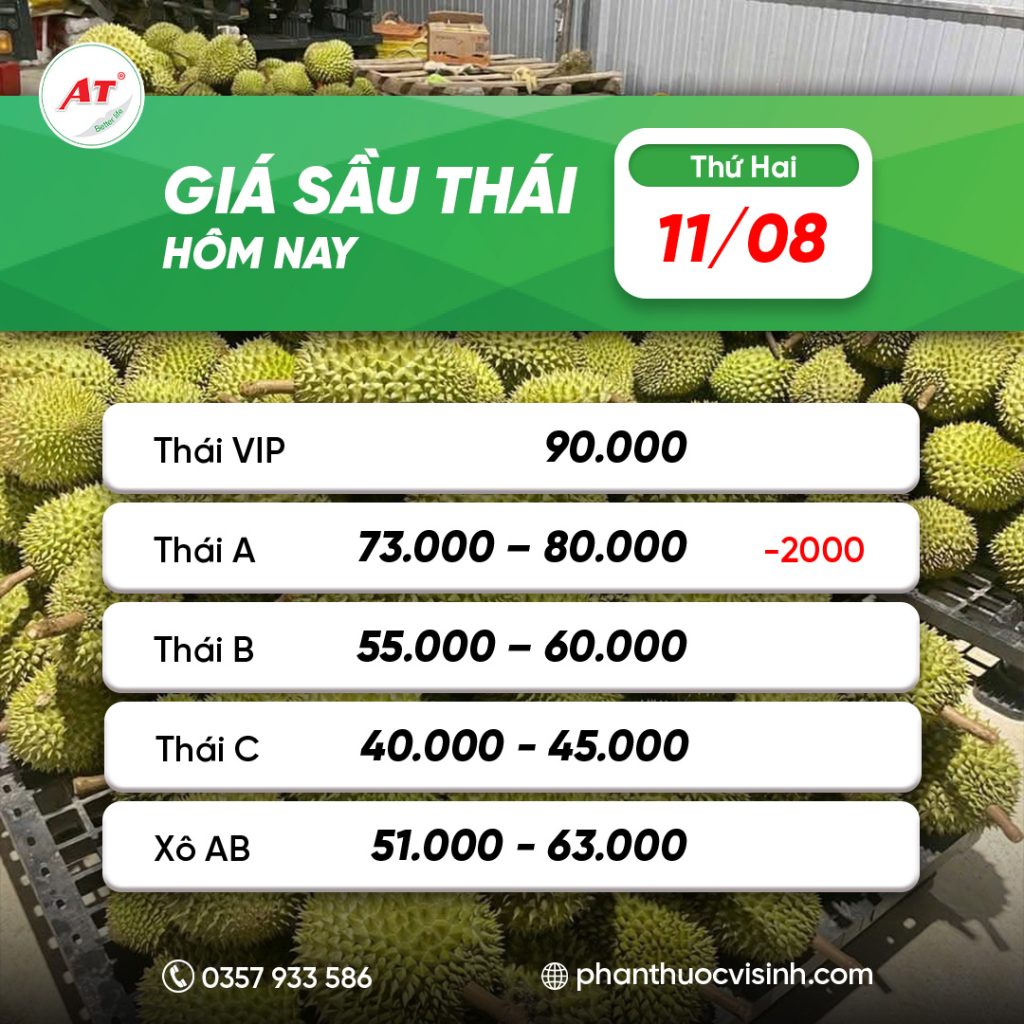 sau thai phan thuoc