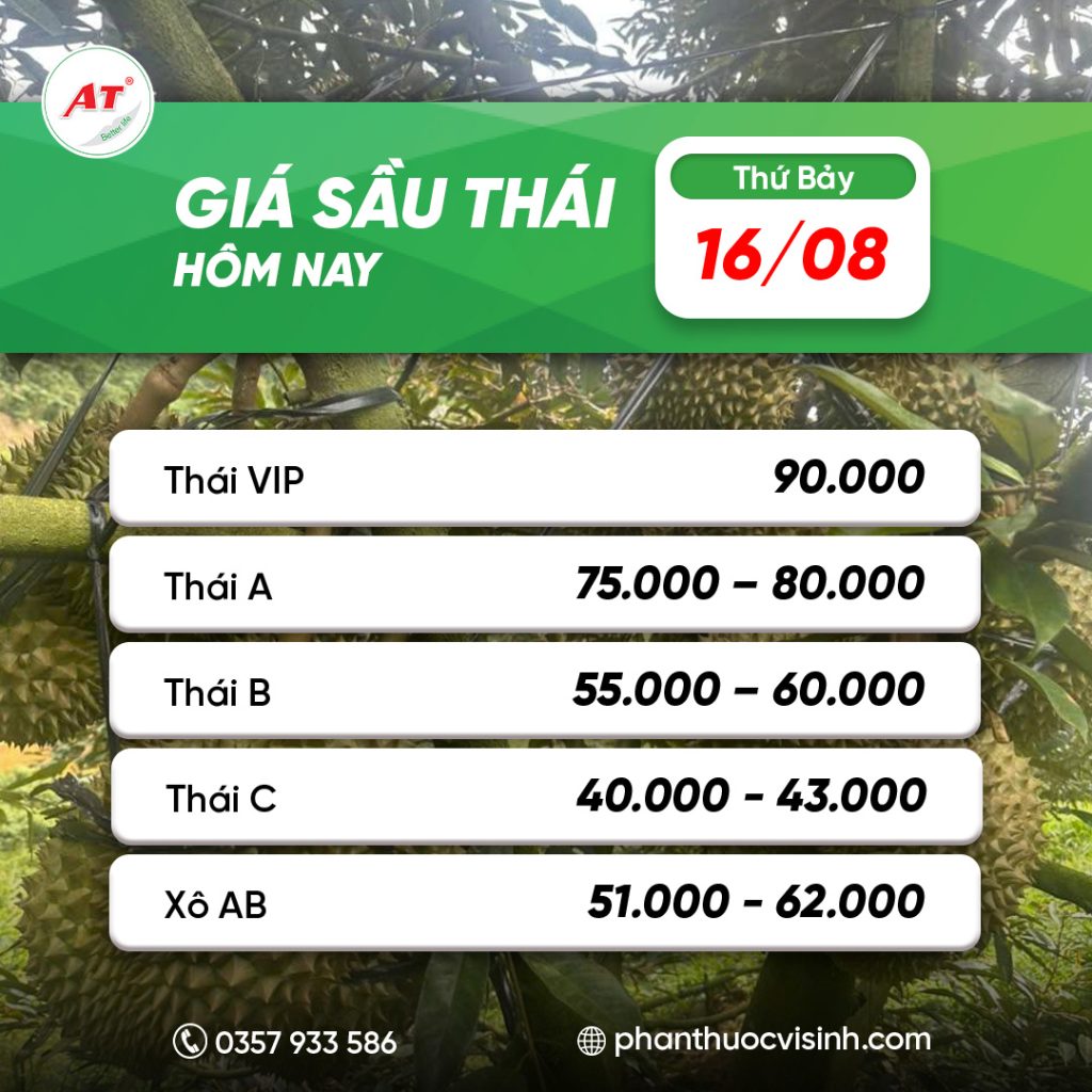Giá sầu riêng 16/08/2025