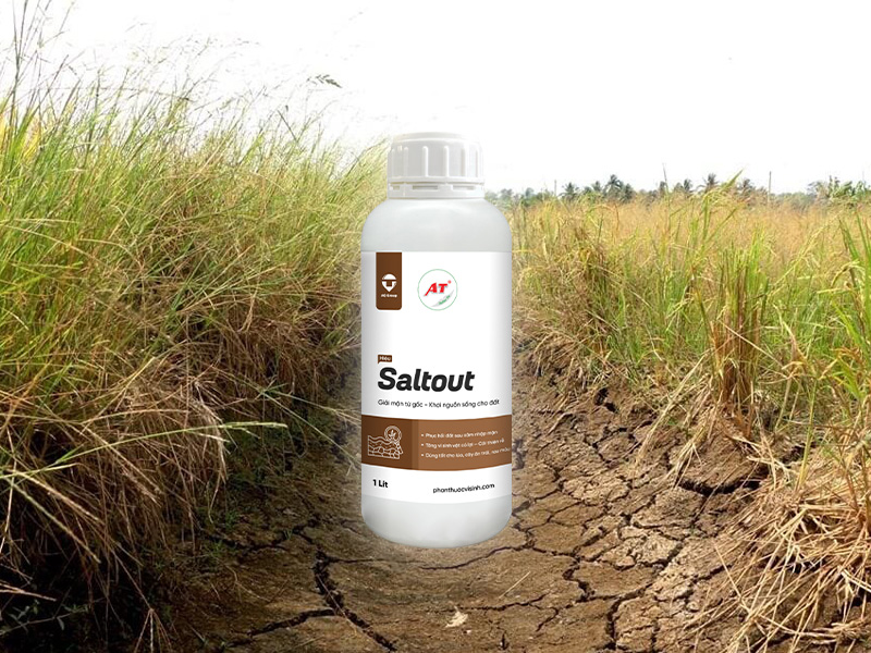 AT Saltout – Thuốc Sinh Học Giải Mặn Đất Trồng