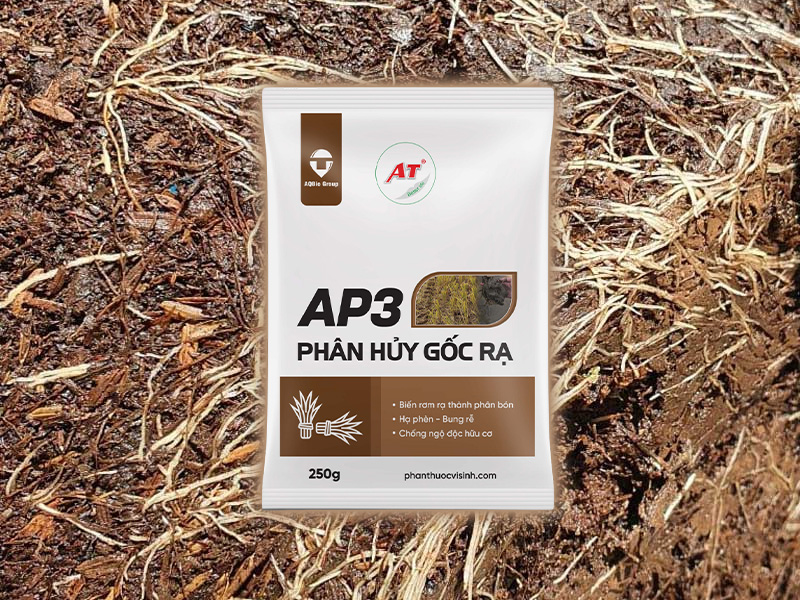 Thuốc sinh học phân hủy gốc rạ AP3