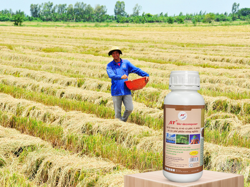 Thuốc Sinh Học Xử Lý Rơm Rạ AT Bio-decomposer