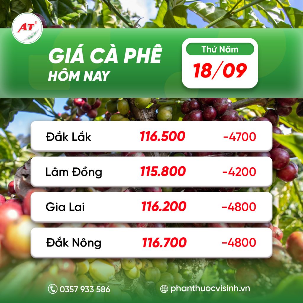 925.228 tuyen dung sale thi truong 02