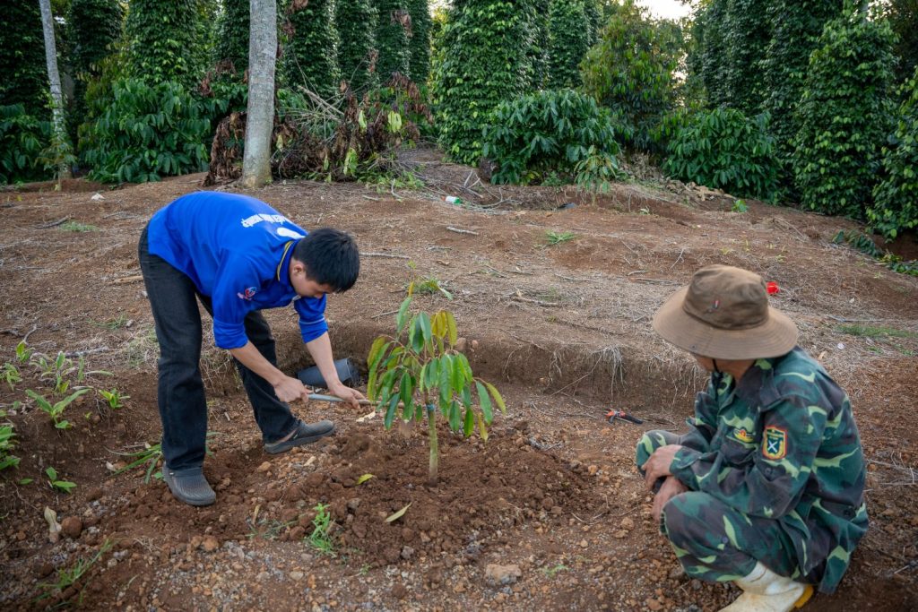 Kỹ Thuật Làm Đất Trồng Sầu Riêng ở Tây Nguyên - Giúp Cây Phát Triển Mạnh Khỏe, Ít Sâu Bệnh 1 Kỹ thuật làm đất trồng sầu riêng ở Tây Nguyên