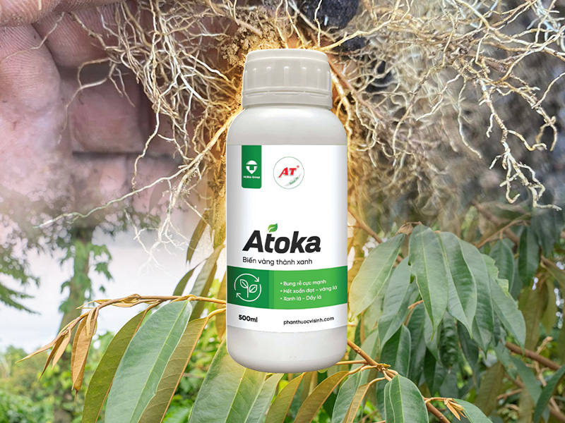 Thuốc Sinh Học Kích Rễ Cây Trồng AT Atoka