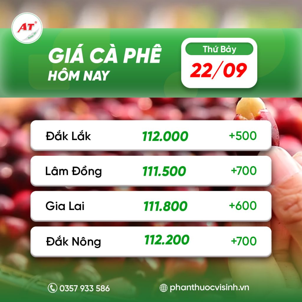 ca phe nong nghiep 1