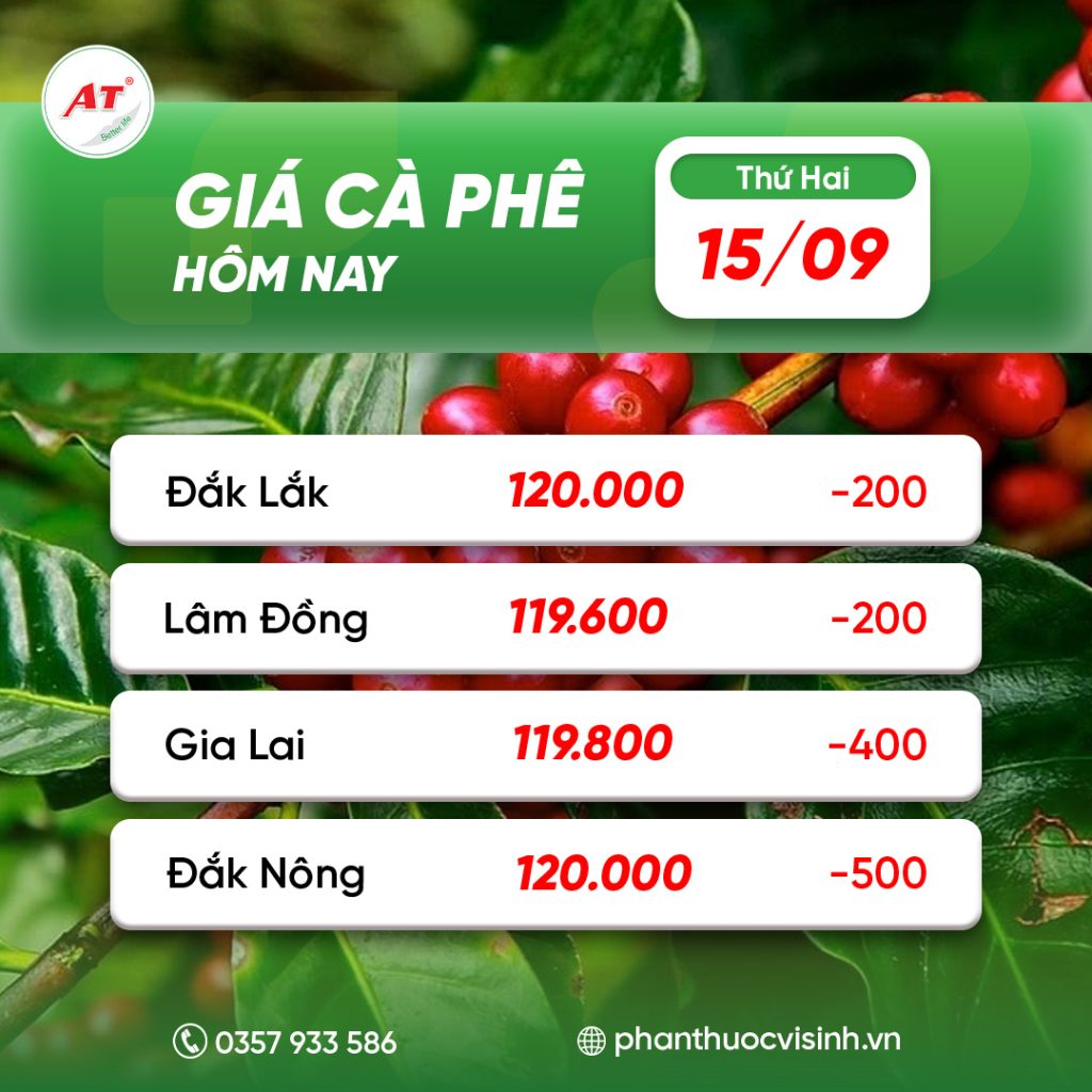 ca phe nong nghiep