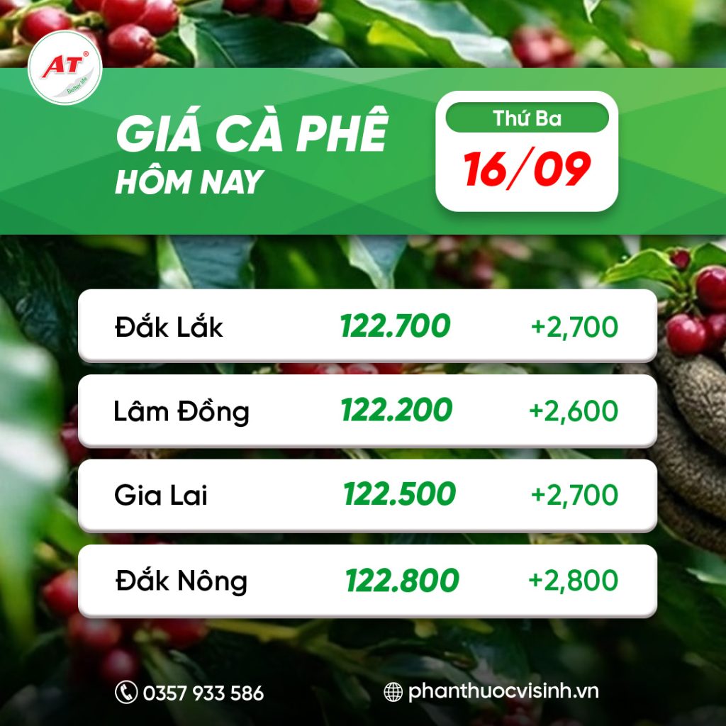 ca phe phan thuoc 2 1
