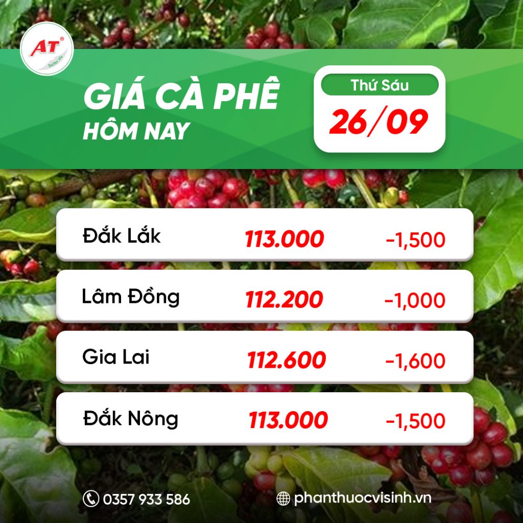 Giá cà phê 26/9