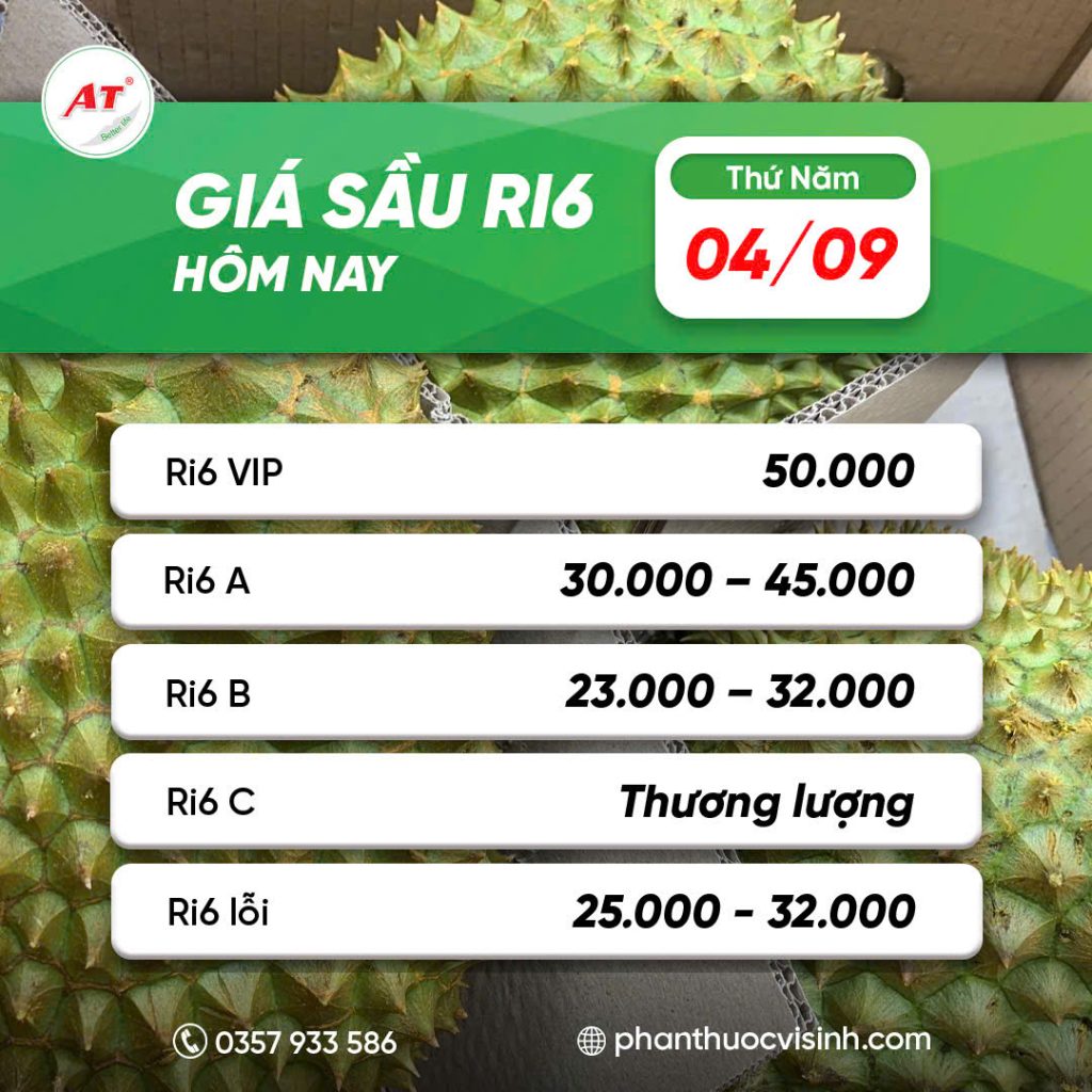 Giá sầu riêng Ri6 ngày 4/9