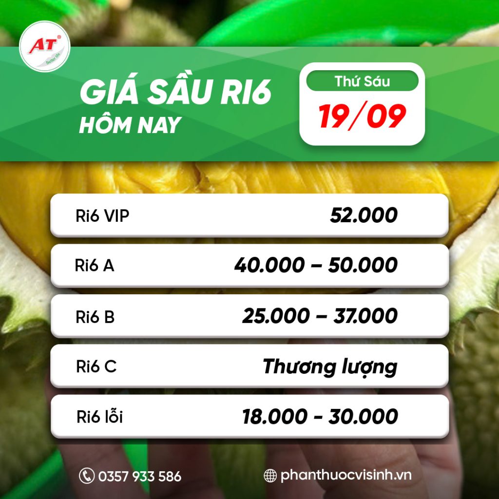 sau ri6 phan thuoc 11
