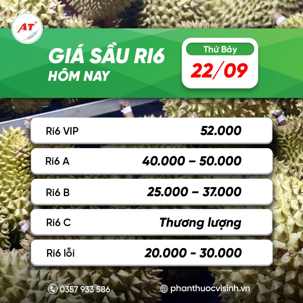 sau ri6 phan thuoc 12