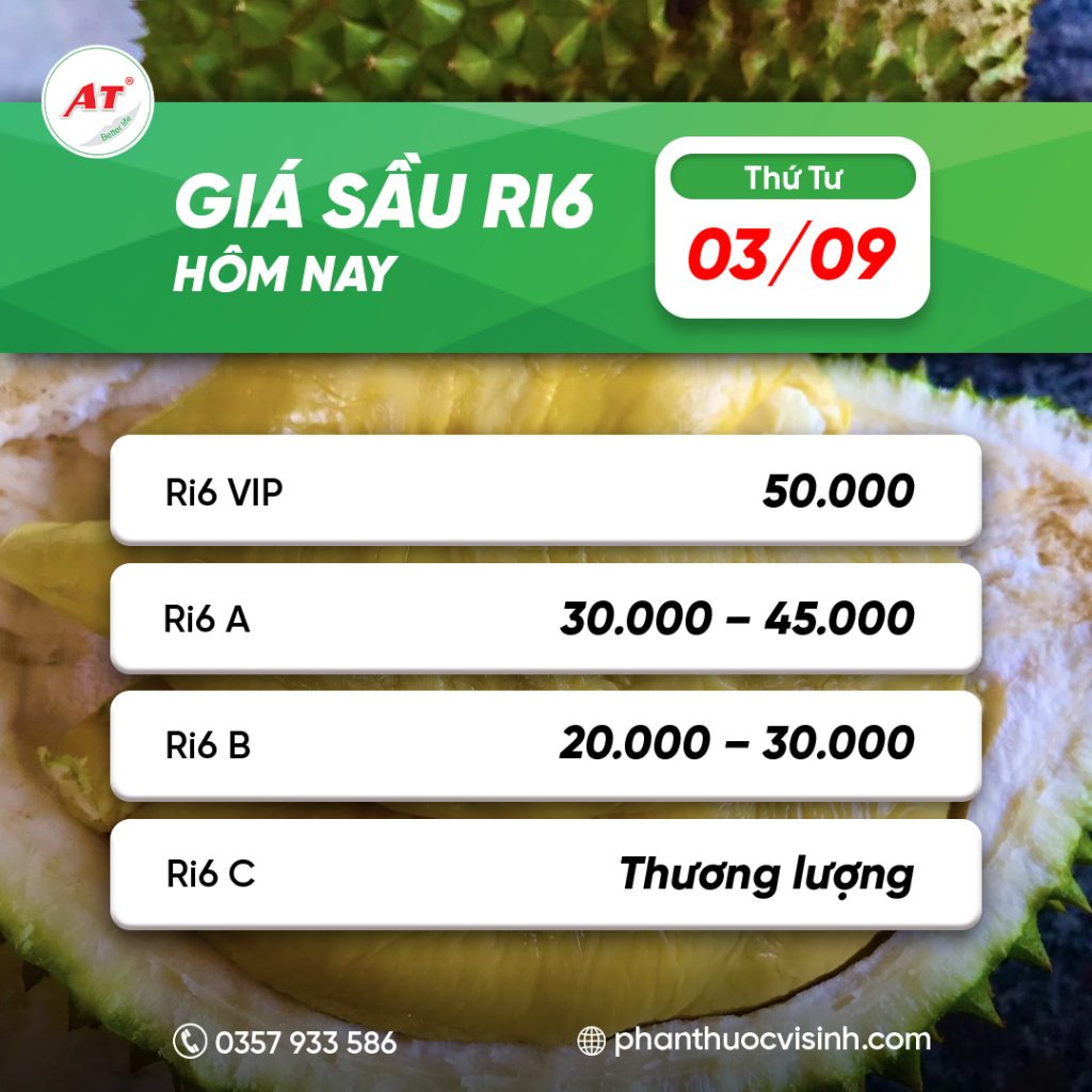 sau ri6 phan thuoc 14
