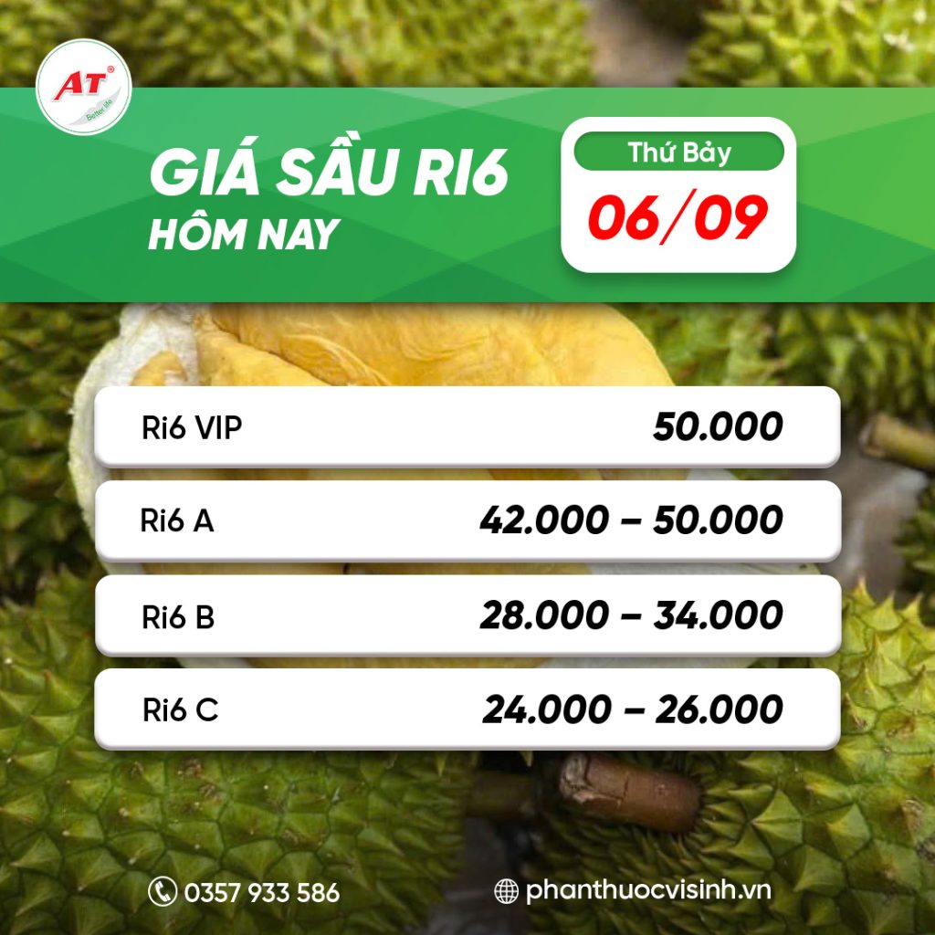 sau ri6 phan thuoc 16