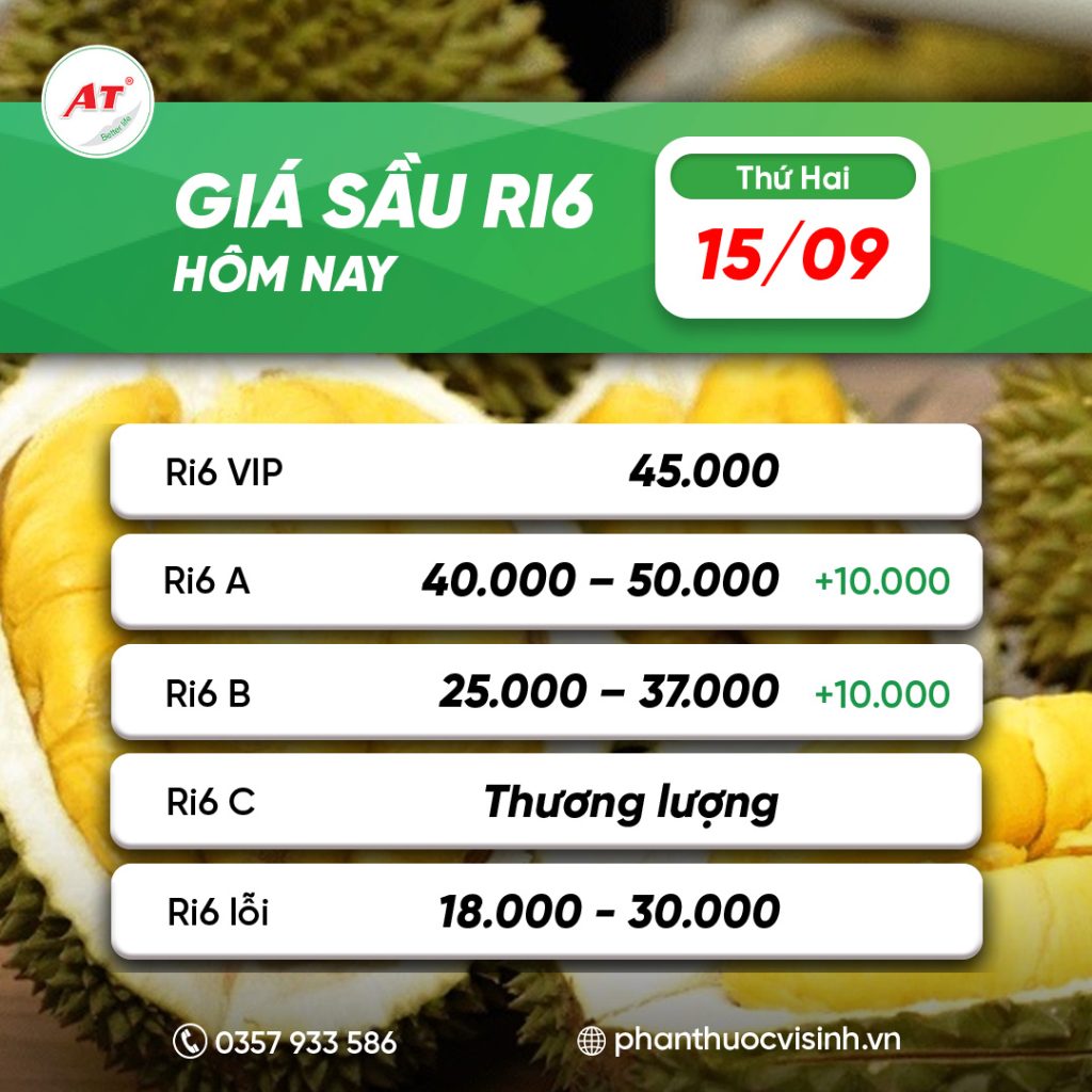 sau ri6 phan thuoc 22