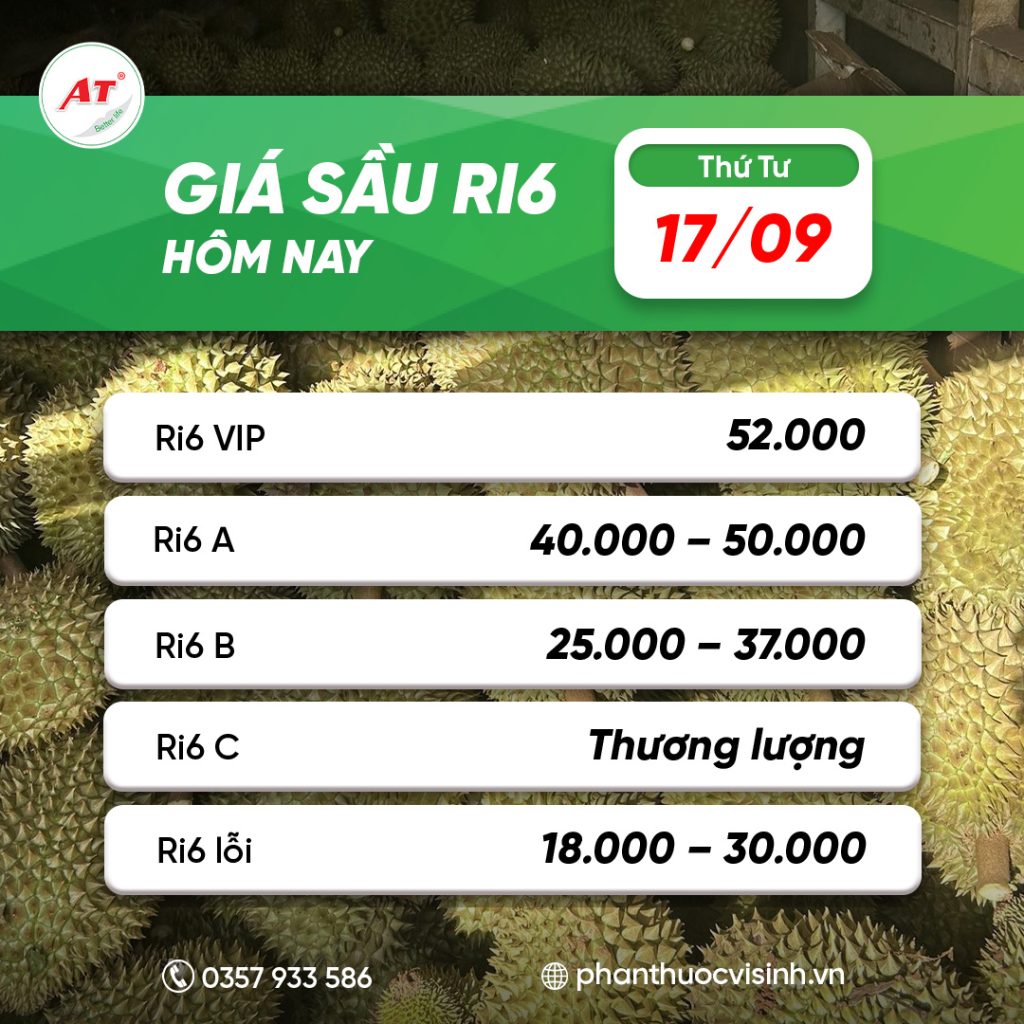 sau ri6 phan thuoc 24