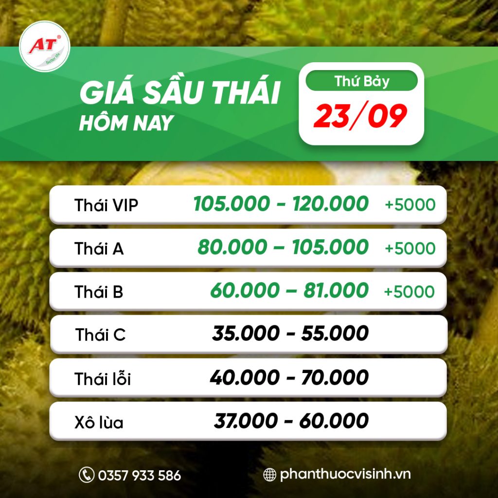 sau thai phan thuoc