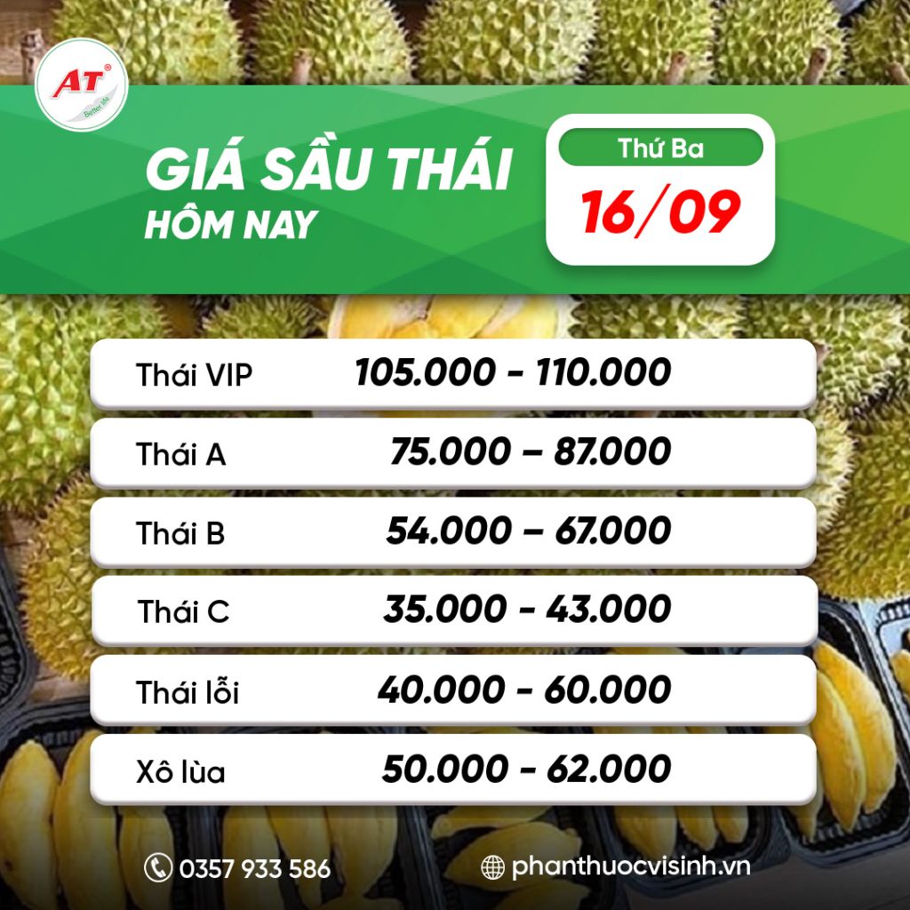 sau thai phan thuoc 22